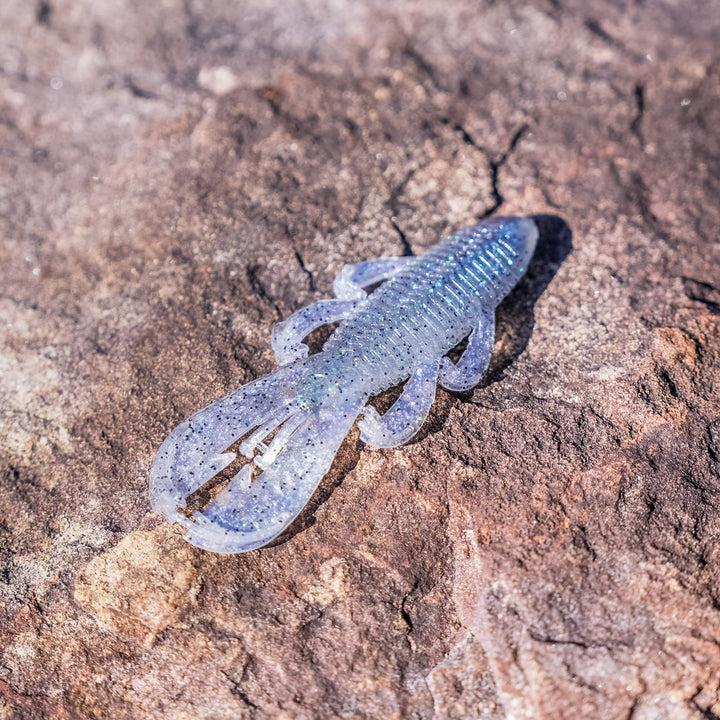 Limited Edition Reserve Bandito Bug - [Baddy Shaddy]