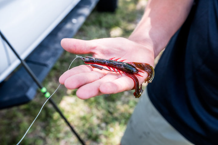 Limited Edition Reserve Krackin' Craw - [Chili Craw]